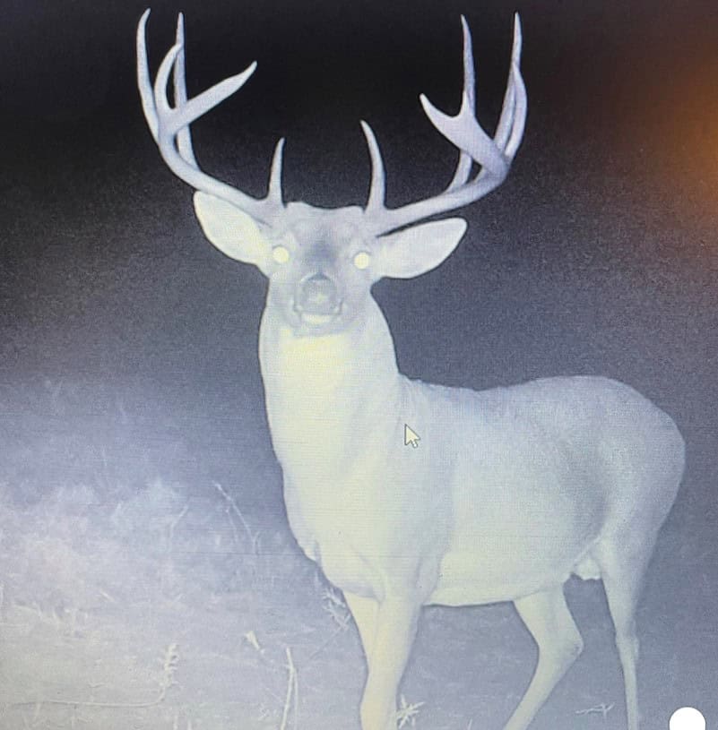 Premier Hunting & Cattle Ranch for Sale Near McAlester OK