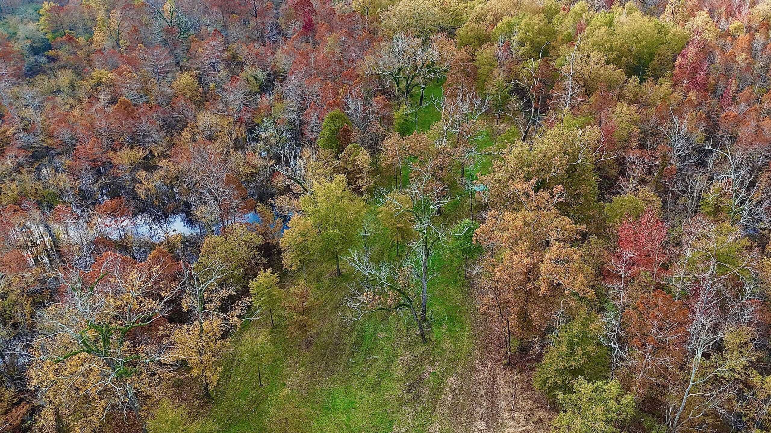 Duck and Deer Hunting Land for Sale with River Frontage