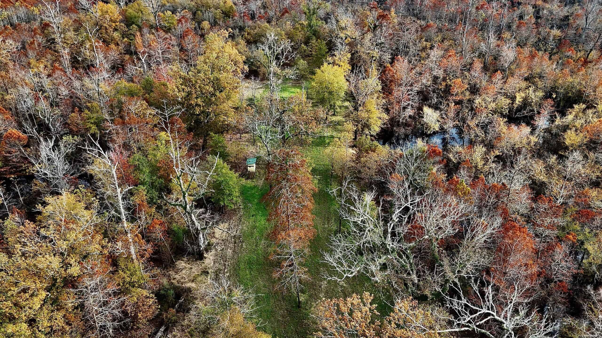 Duck and Deer Hunting Land for Sale with River Frontage