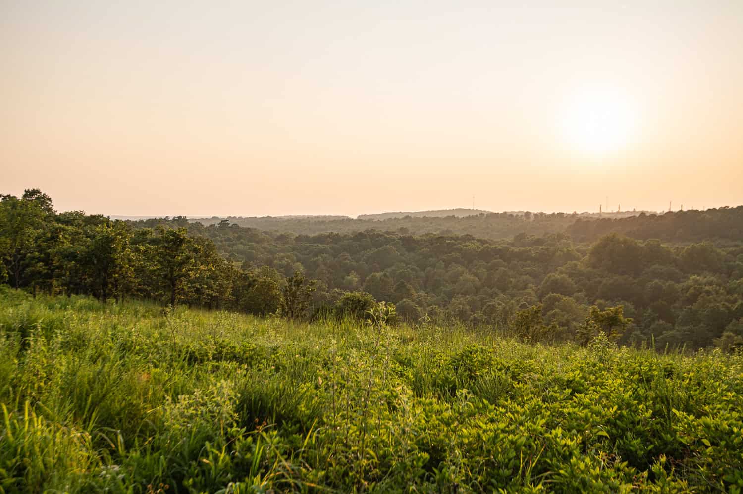 Premier Hunting & Cattle Ranch for Sale Near McAlester OK