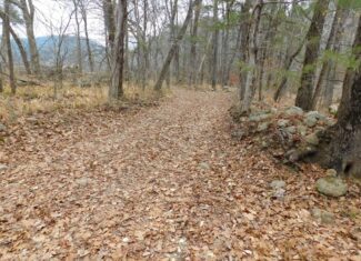 Creek Runs Through Farm Land/Deer Hunting Property in Newton County, Ar