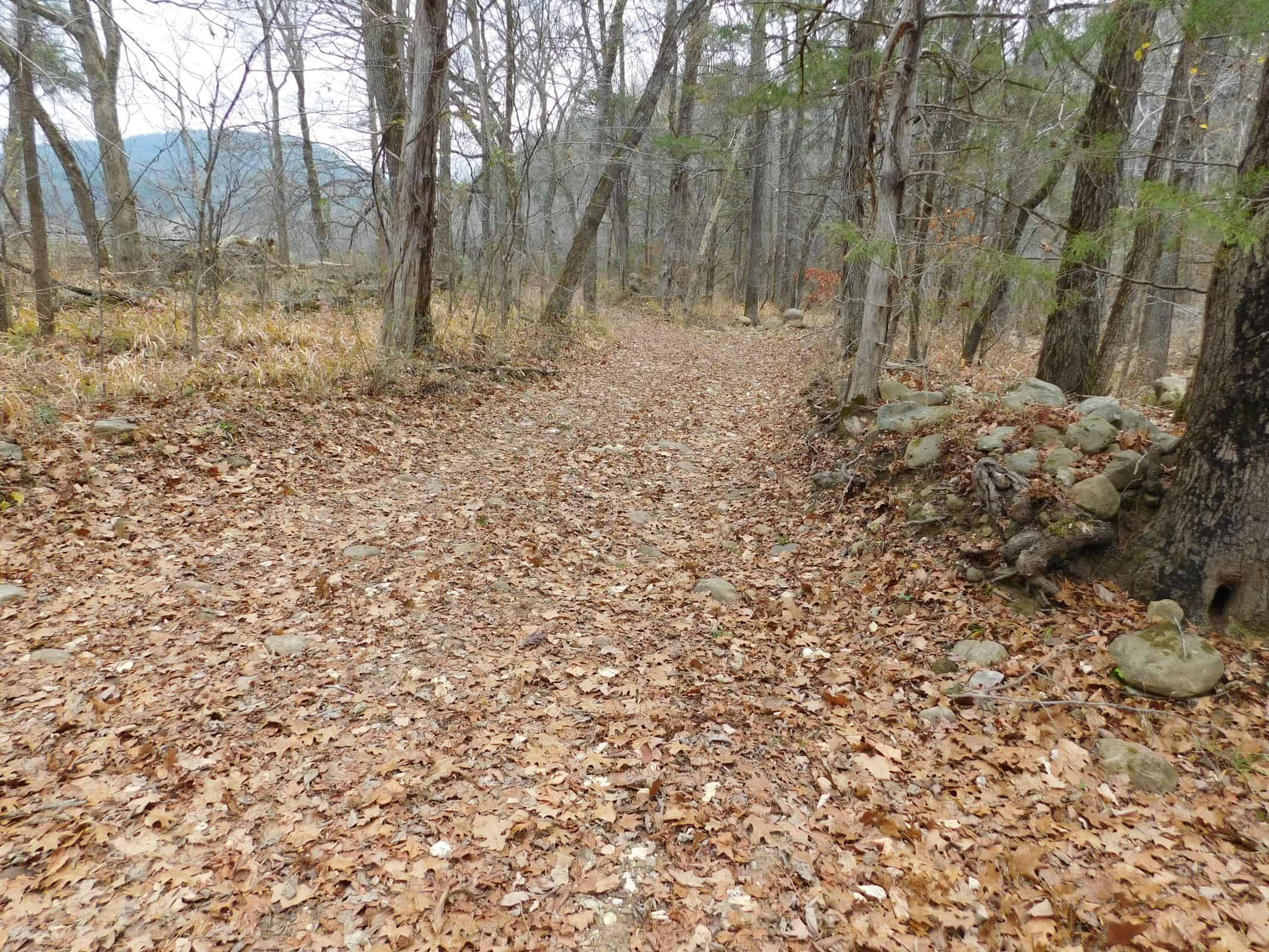 Creek Runs Through Farm Land/Deer Hunting Property in Newton County, Ar