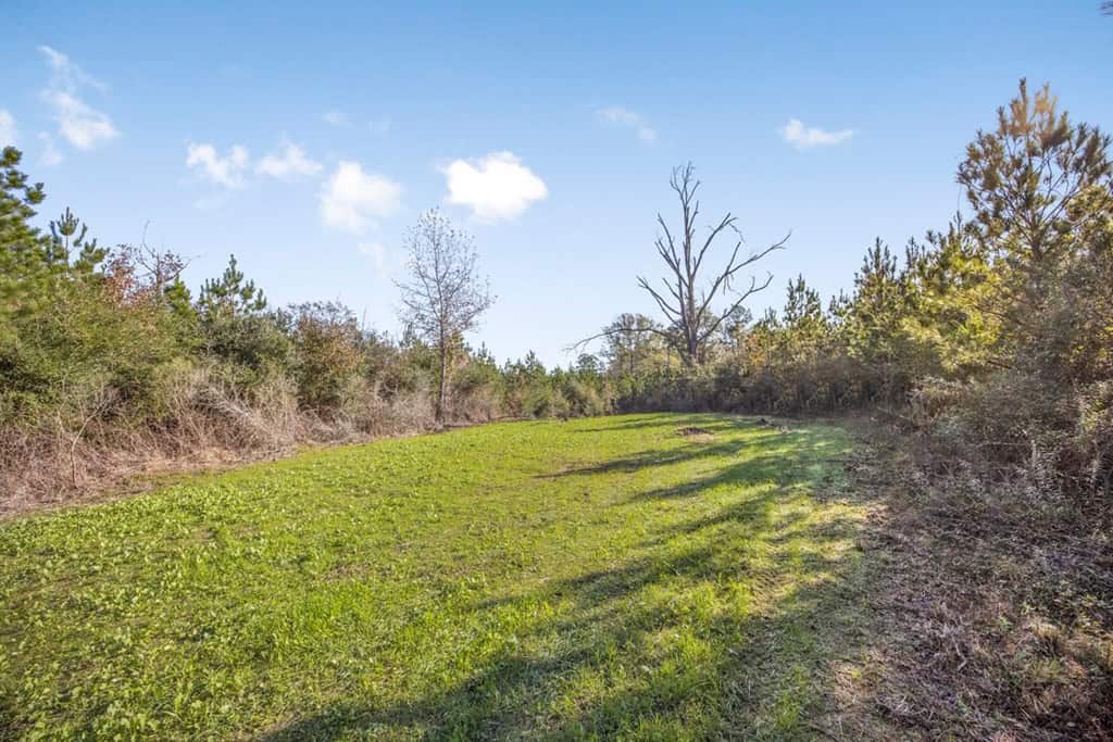 Land For Sale in Amite County, MS