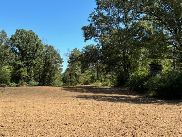 145 Acres Jefferson County Hunting Land Timber Investment