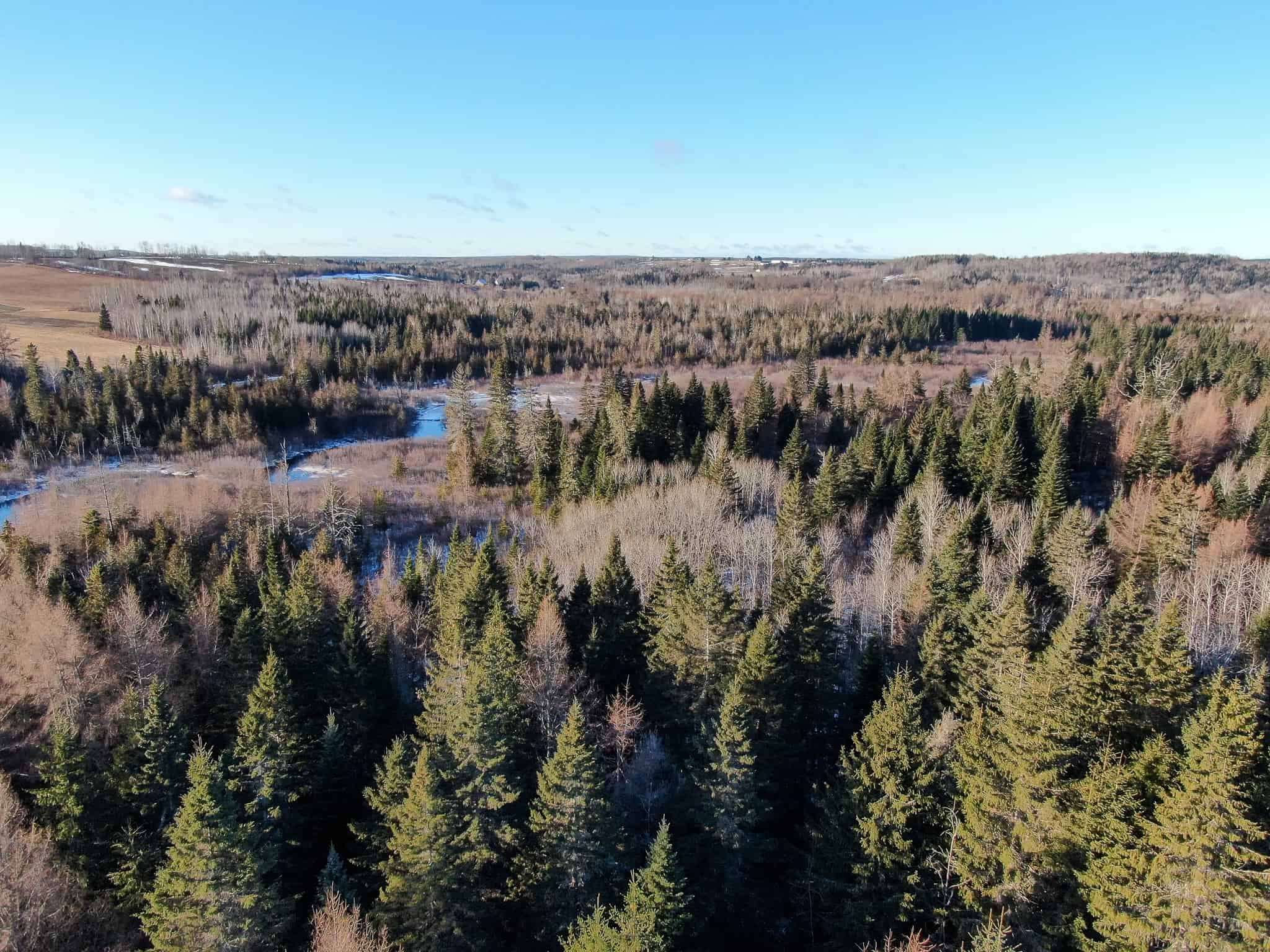 59 Acres in Northern Maine