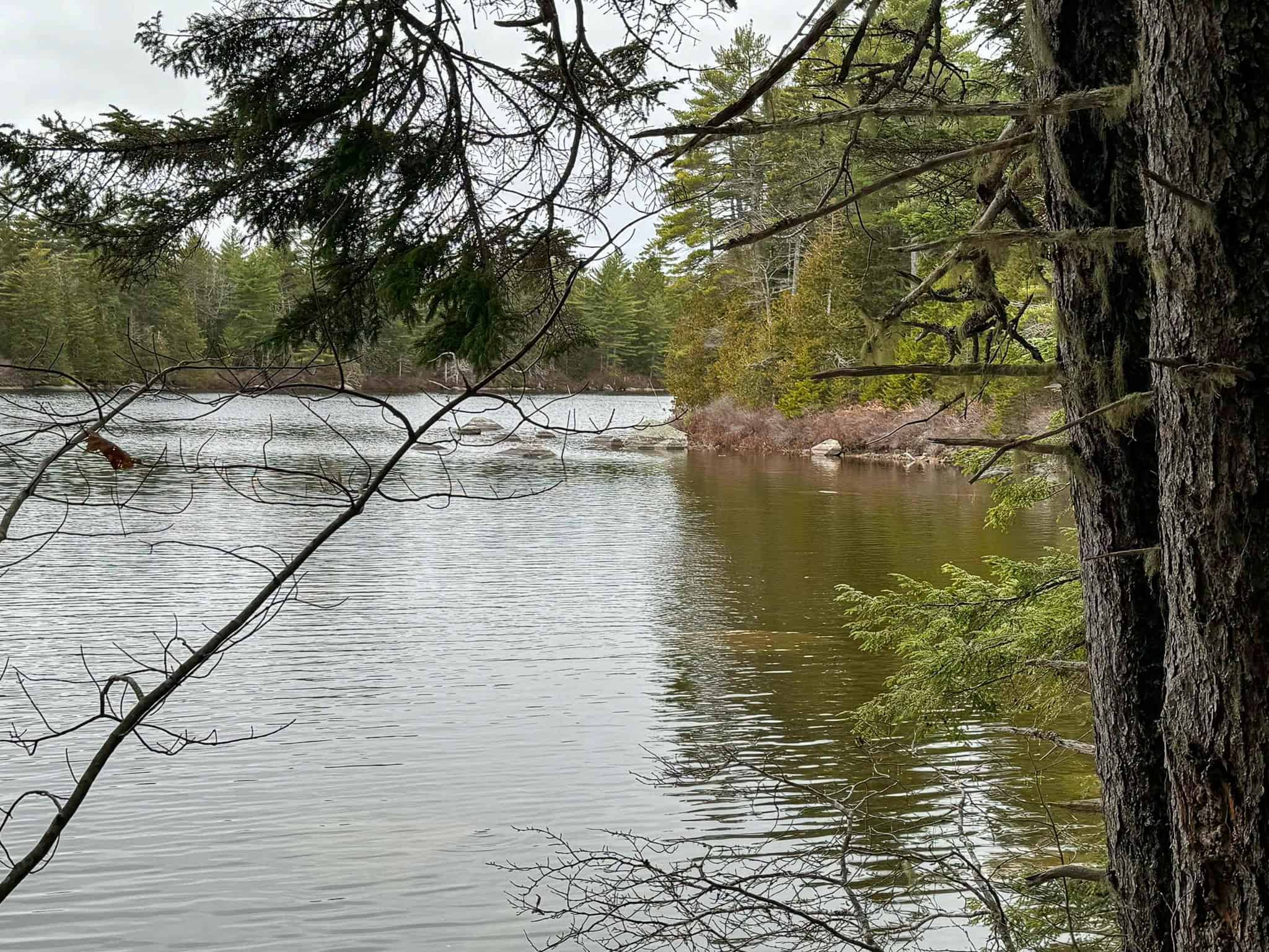 Lakefront Land with 41 Acres