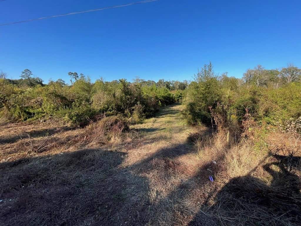 Amite River Hunting Tract For Sale