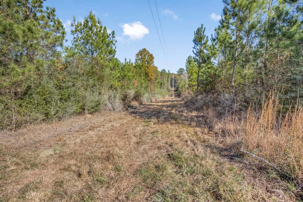 Land For Sale in Amite County, MS