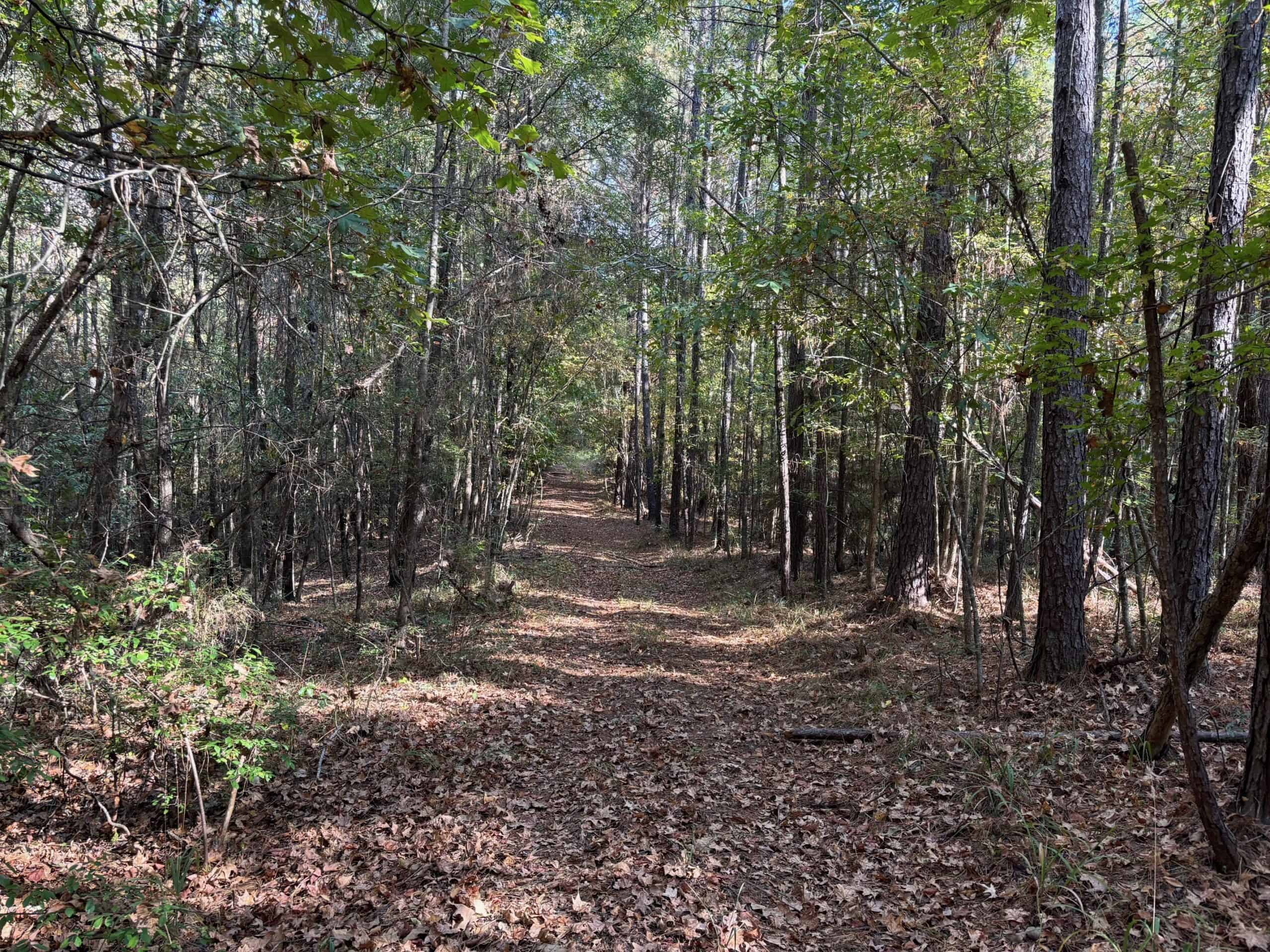 42 Acres Franklin County Hunting Land Timber Investment