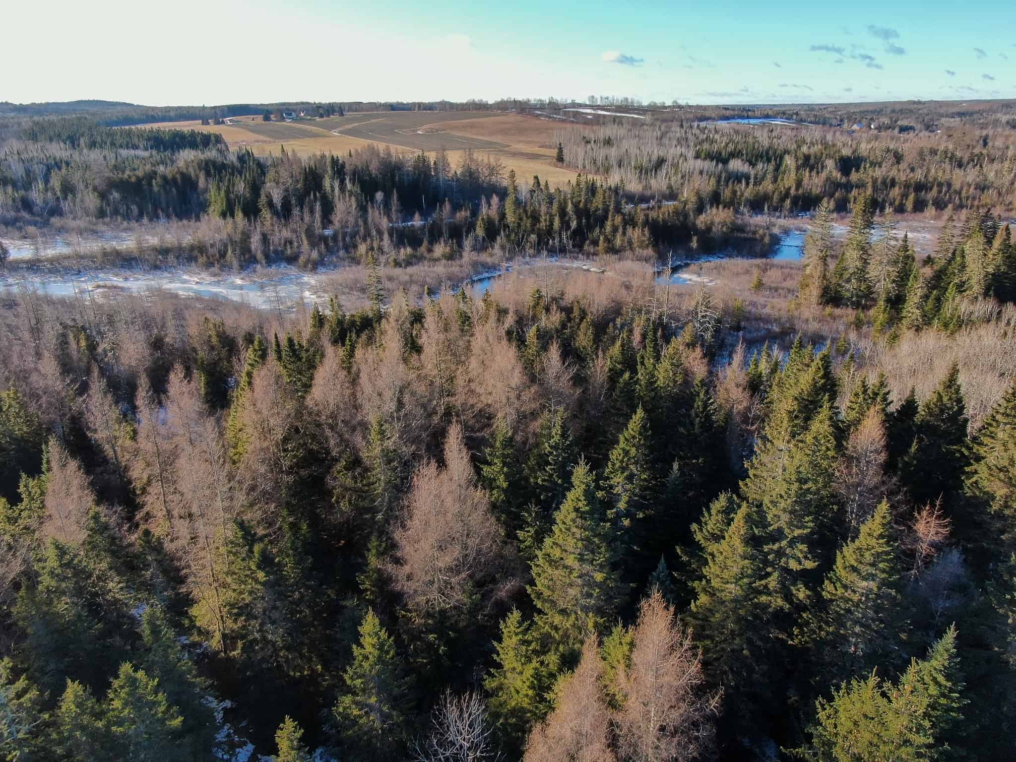 59 Acres in Northern Maine