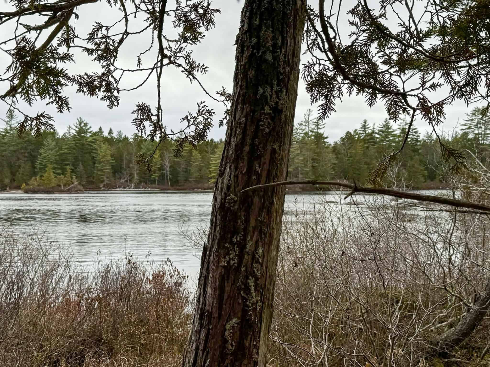 Lakefront Land with 41 Acres