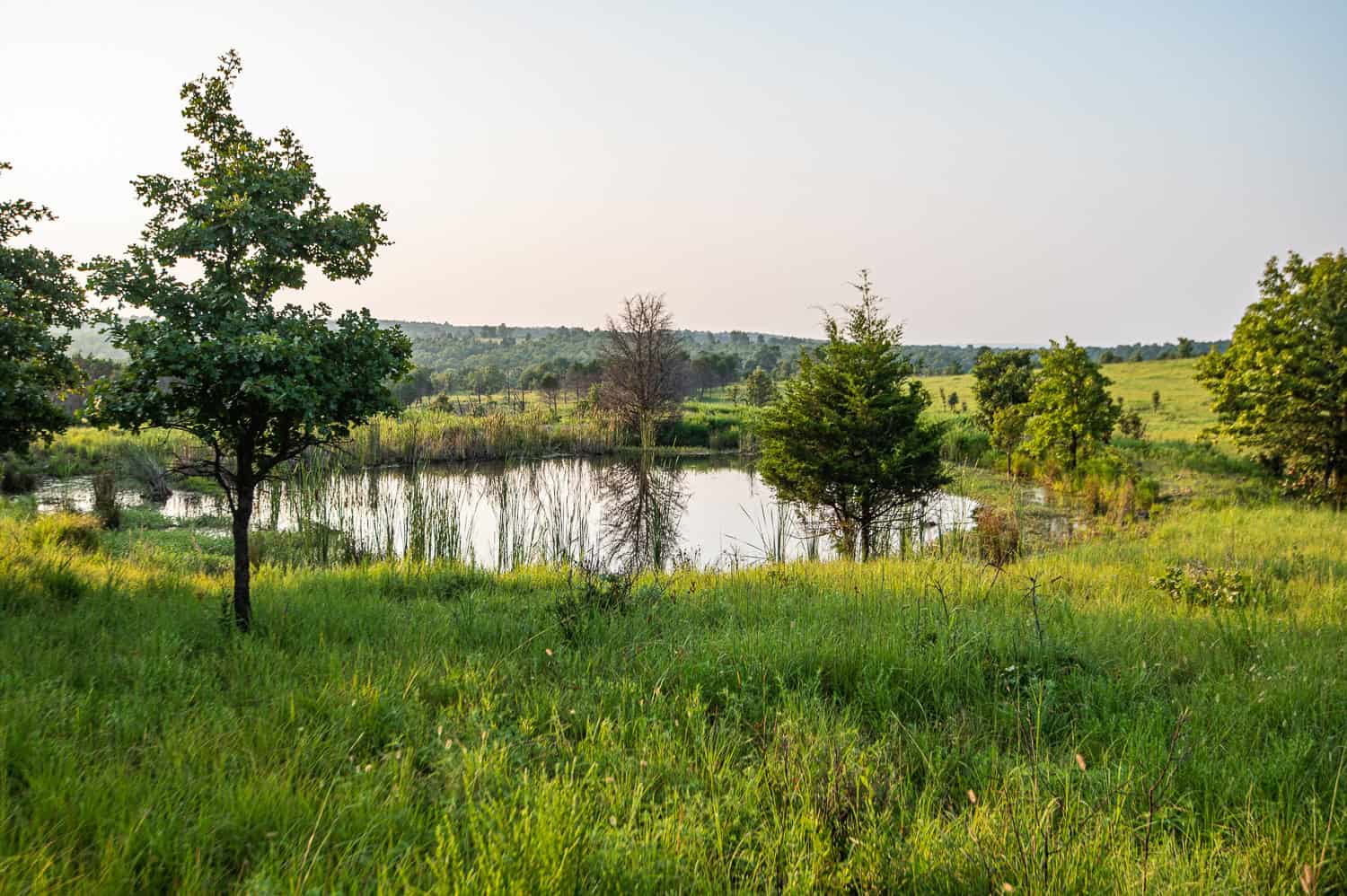Premier Hunting & Cattle Ranch for Sale Near McAlester OK