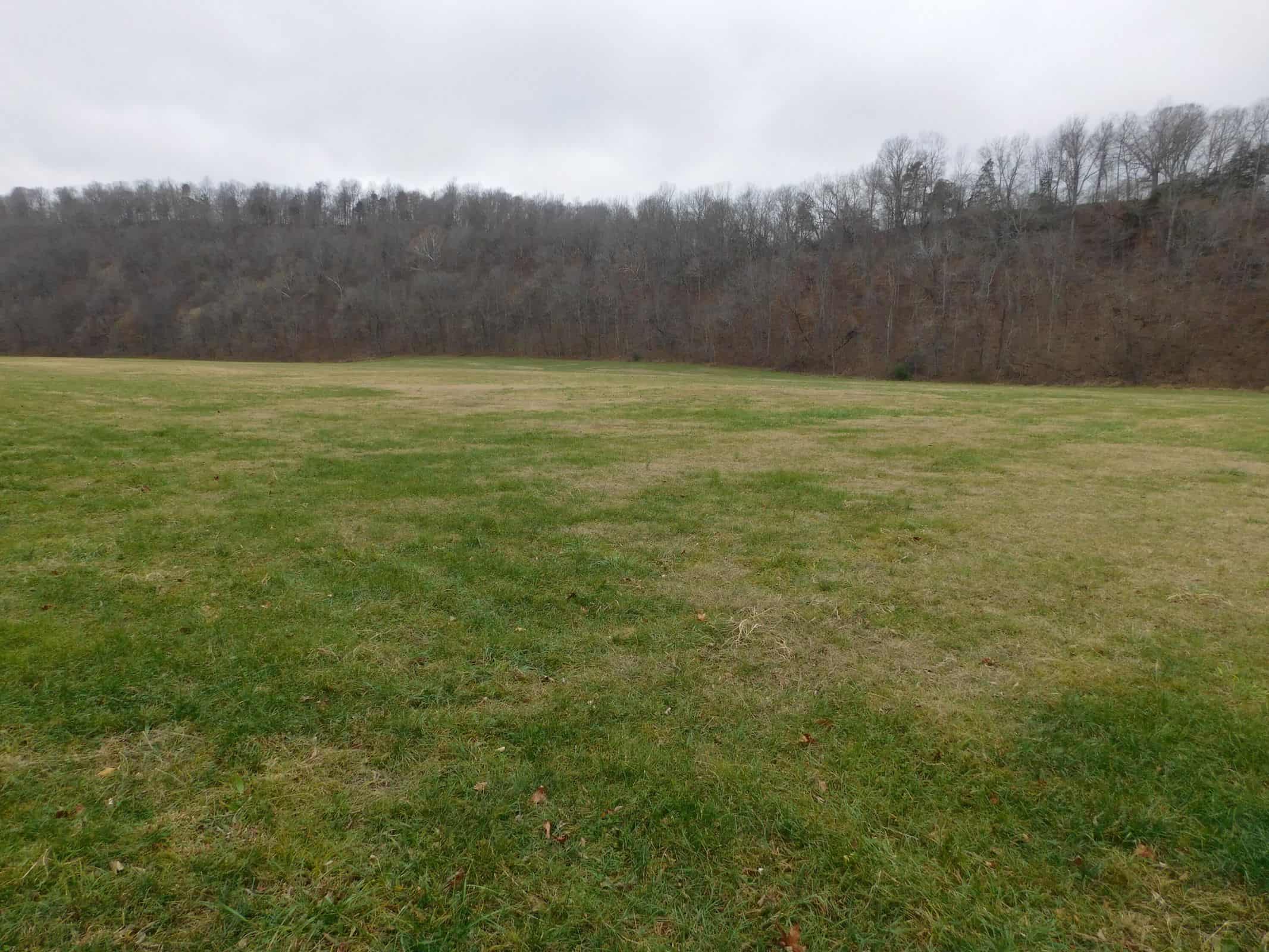 Creek Runs Through Farm Land/Deer Hunting Property in Newton County, Ar