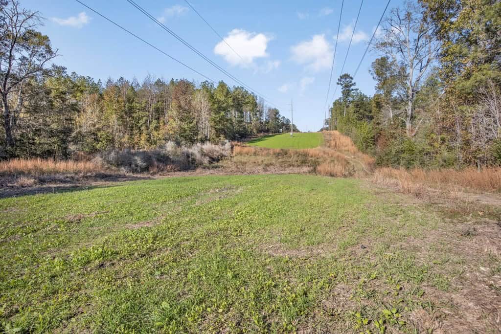 Land For Sale in Amite County, MS