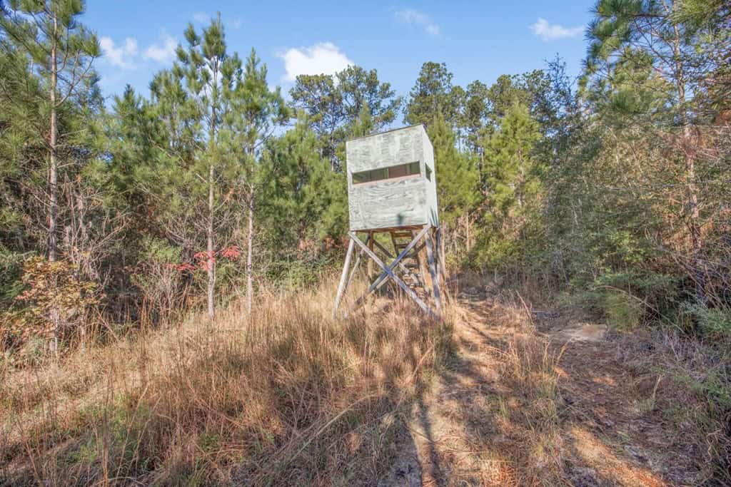 Land For Sale in Amite County, MS