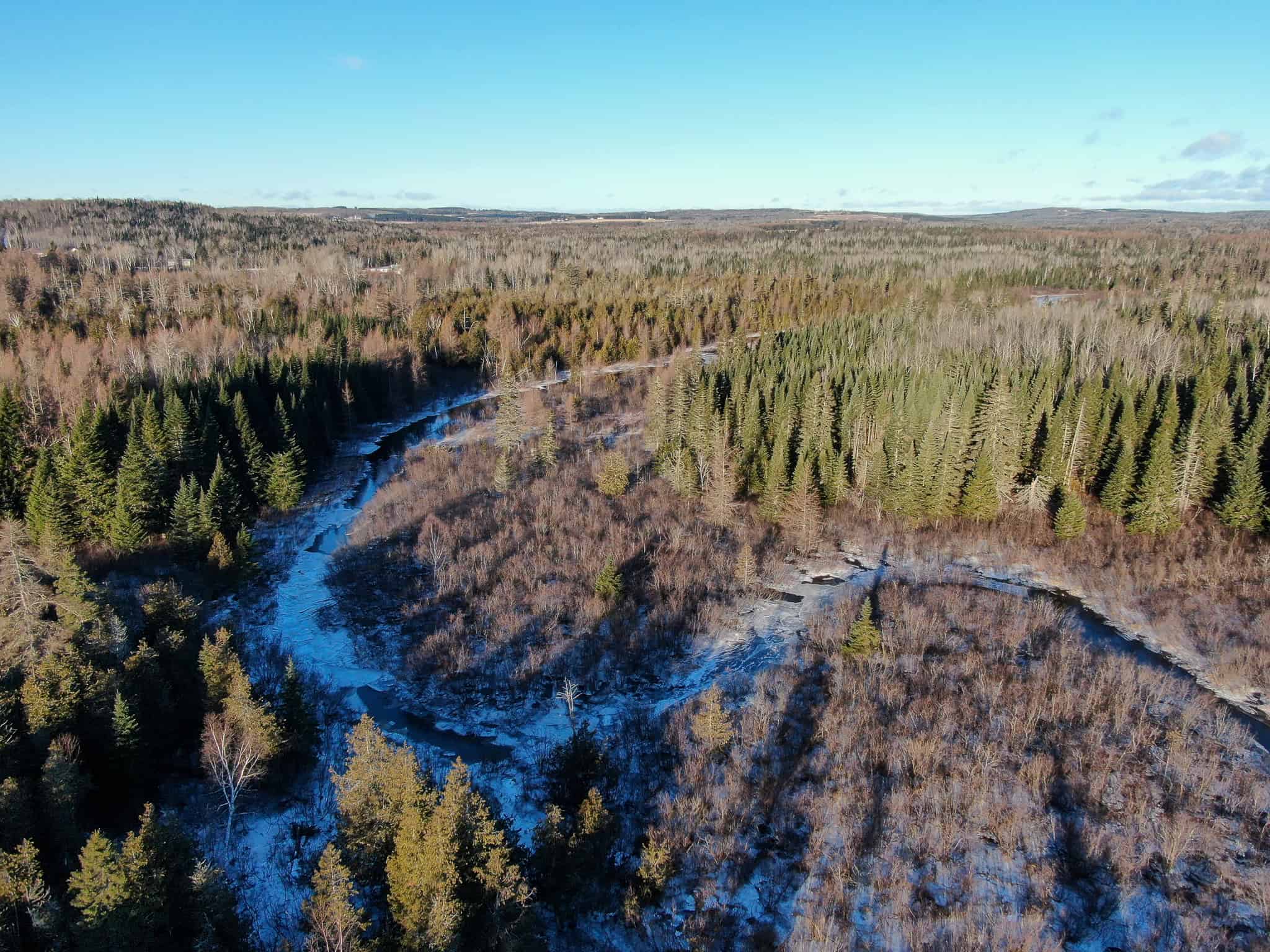 59 Acres in Northern Maine