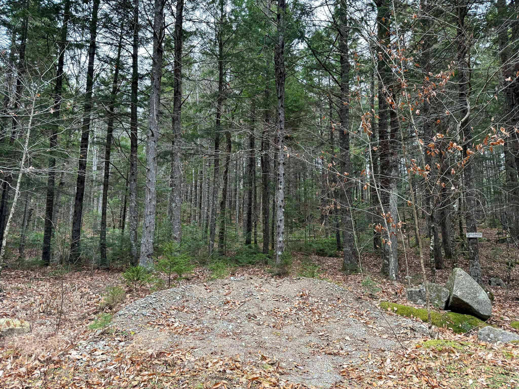Lakefront Land with 41 Acres