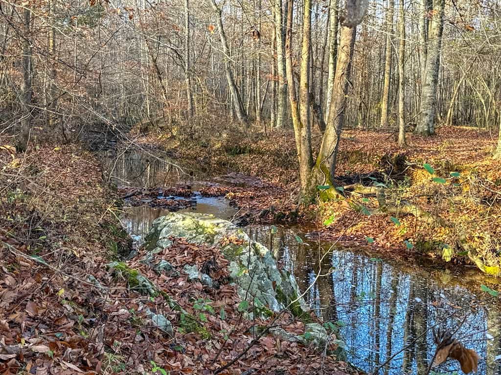 Winston Road Ridge: A Hunter’s Paradise and Recreational Haven
