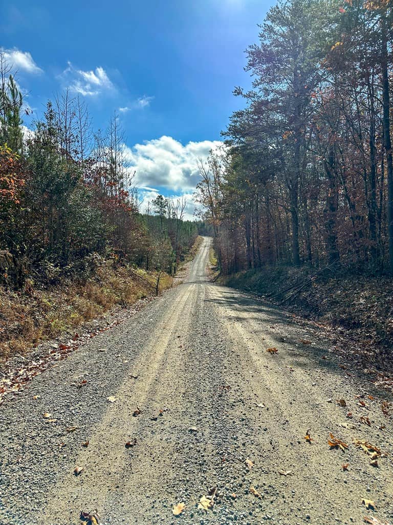 Winston Road Ridge: A Hunter’s Paradise and Recreational Haven