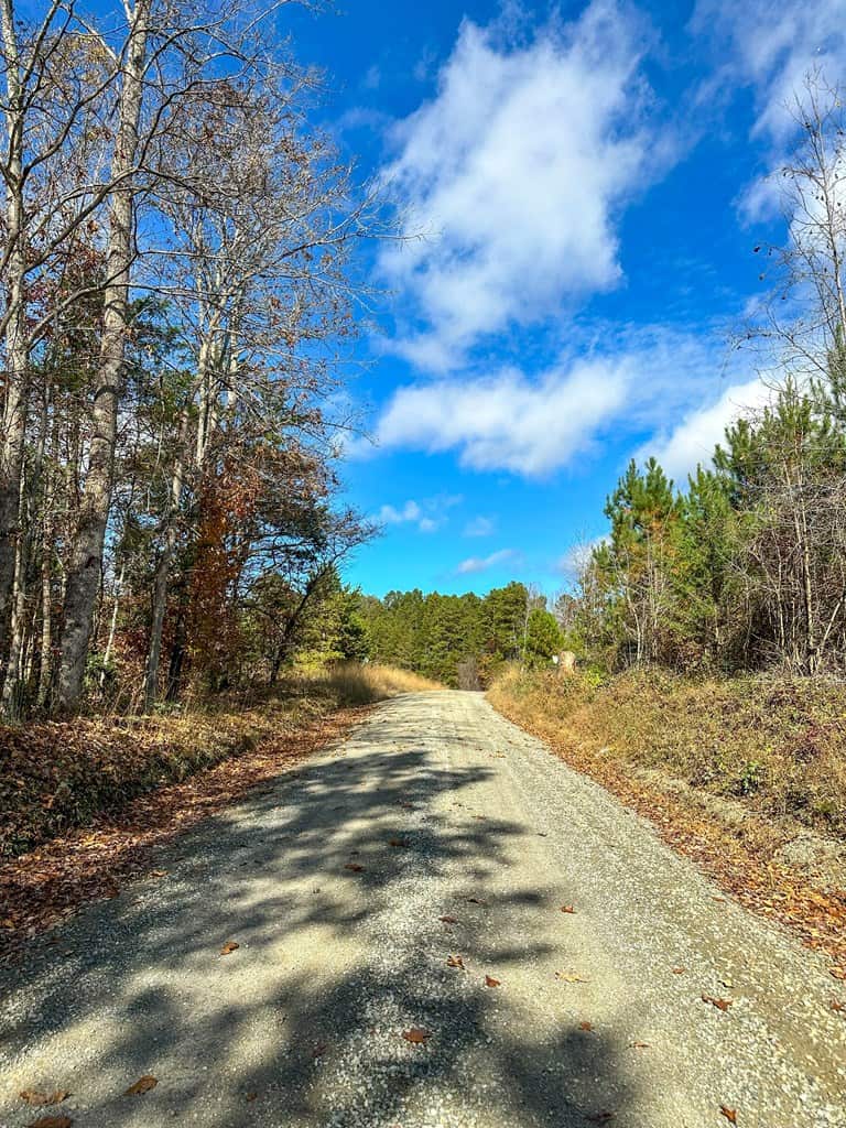 Winston Road Ridge: A Hunter’s Paradise and Recreational Haven