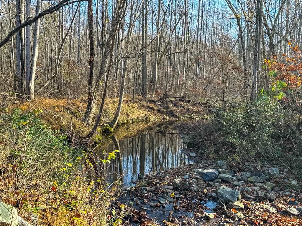 Winston Road Ridge: A Hunter’s Paradise and Recreational Haven
