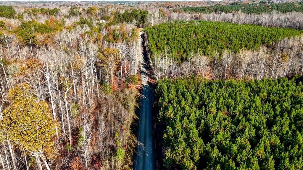 Winston Road Ridge: A Hunter’s Paradise and Recreational Haven