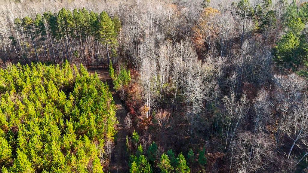 Winston Road Ridge: A Hunter’s Paradise and Recreational Haven