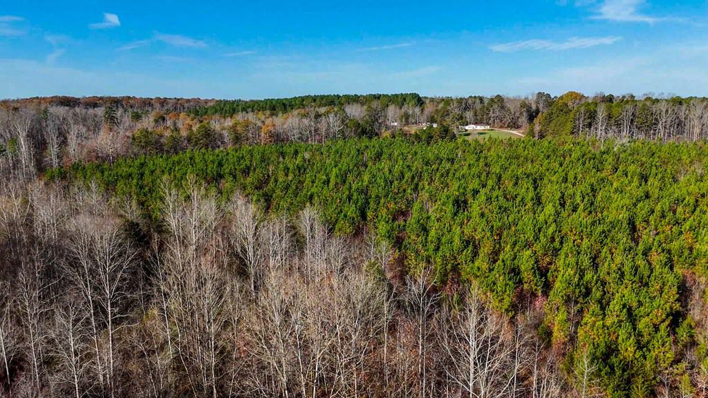 Winston Road Ridge: A Hunter’s Paradise and Recreational Haven