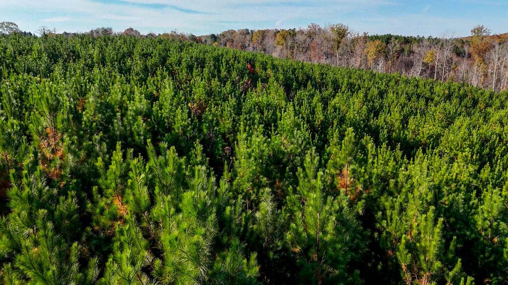 Winston Road Ridge: A Hunter’s Paradise and Recreational Haven