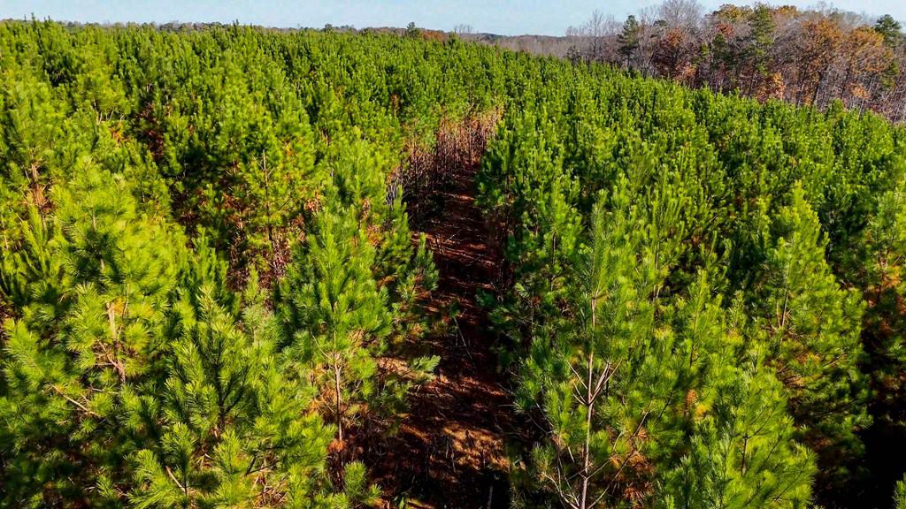 Winston Road Ridge: A Hunter’s Paradise and Recreational Haven