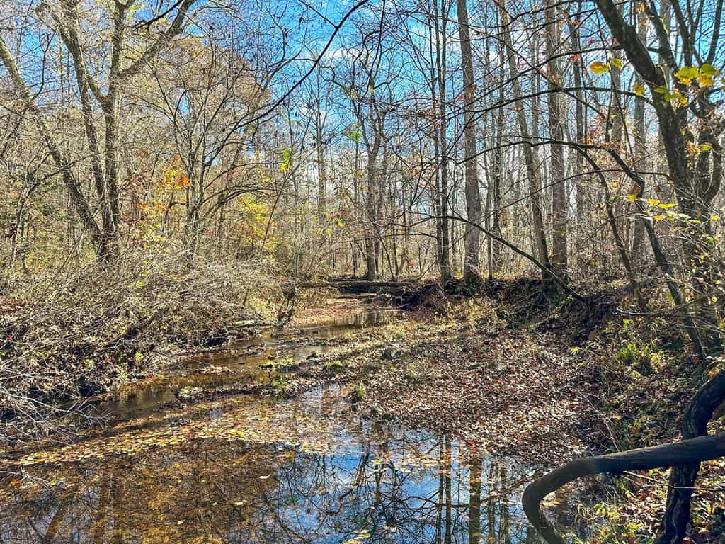 Winston Road Ridge: A Hunter’s Paradise and Recreational Haven