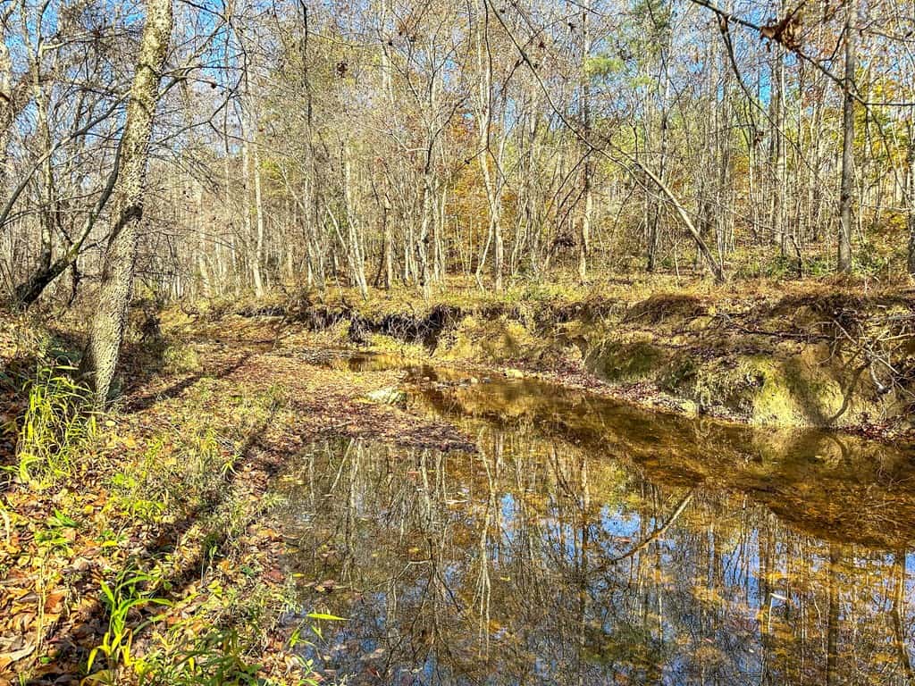 Winston Road Ridge: A Hunter’s Paradise and Recreational Haven