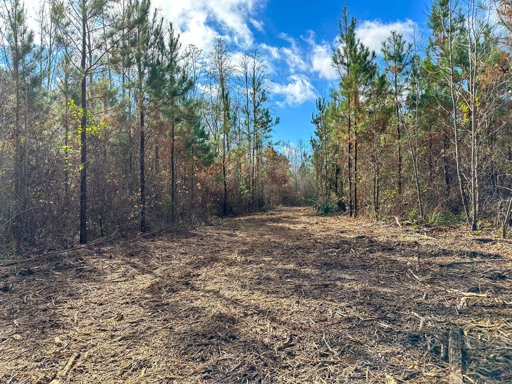 Winston Road Ridge: A Hunter’s Paradise and Recreational Haven