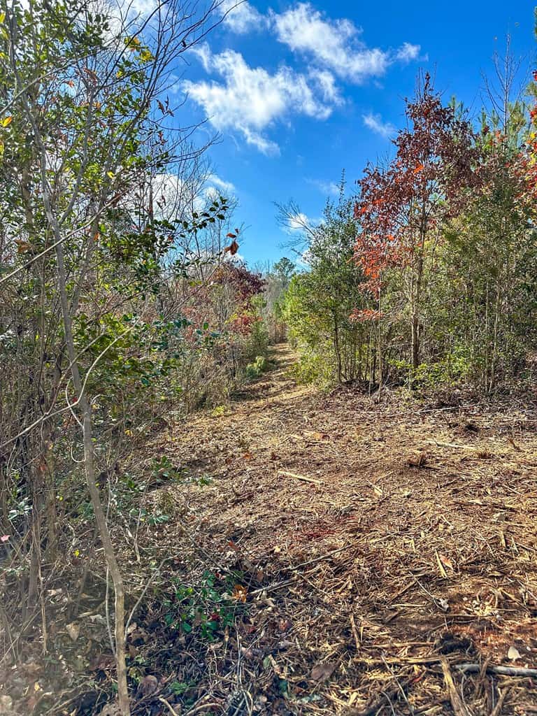 Winston Road Ridge: A Hunter’s Paradise and Recreational Haven