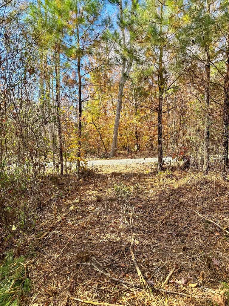 Winston Road Ridge: A Hunter’s Paradise and Recreational Haven
