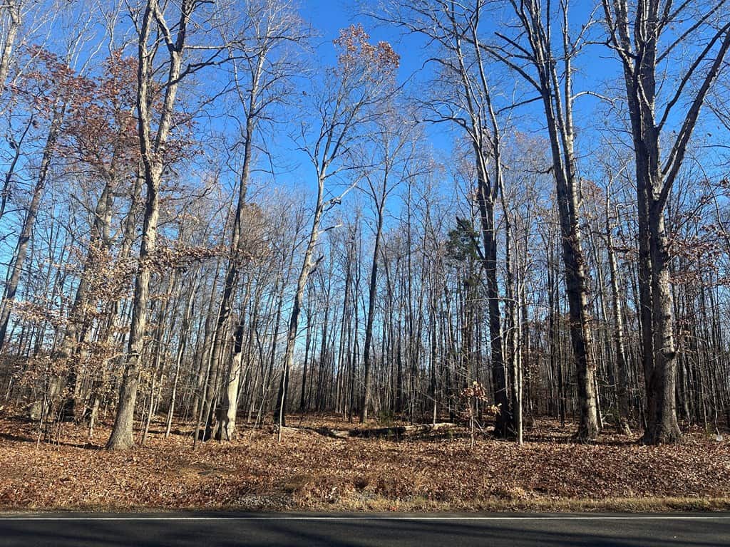 Hunting and Recreational Paradise: Dillwyn Land Opportunity, VA
