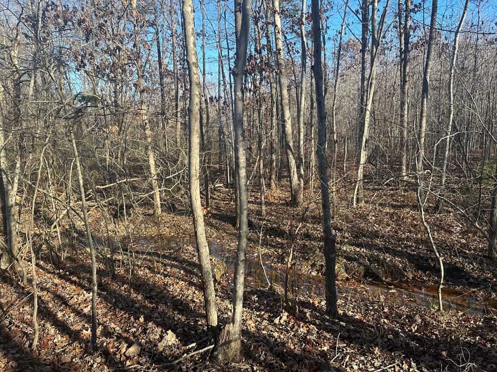 Hunting and Recreational Paradise: Dillwyn Land Opportunity, VA