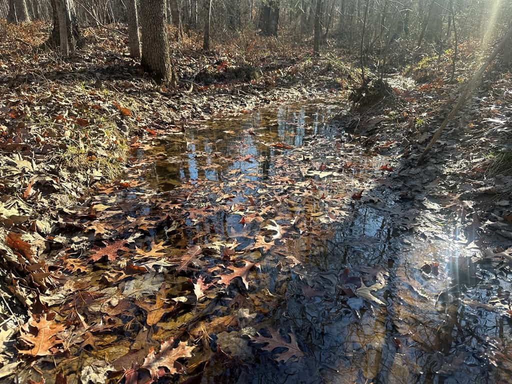 Hunting and Recreational Paradise: Dillwyn Land Opportunity, VA