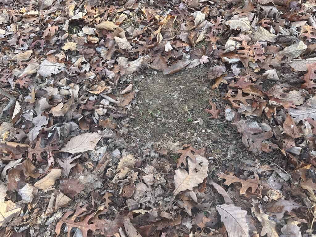 Hunting and Recreational Paradise: Dillwyn Land Opportunity, VA