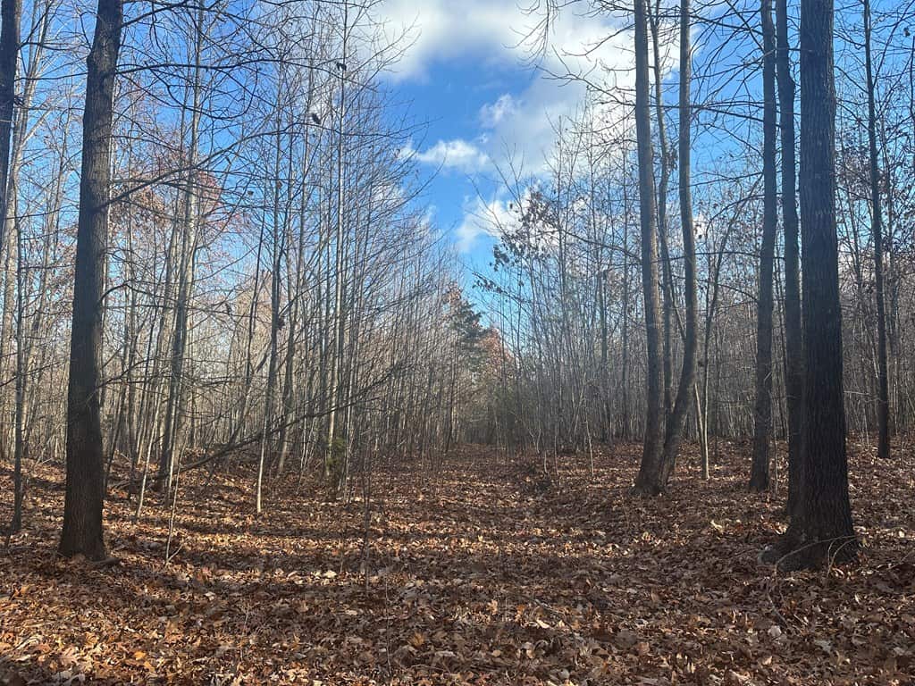 Hunting and Recreational Paradise: Dillwyn Land Opportunity, VA
