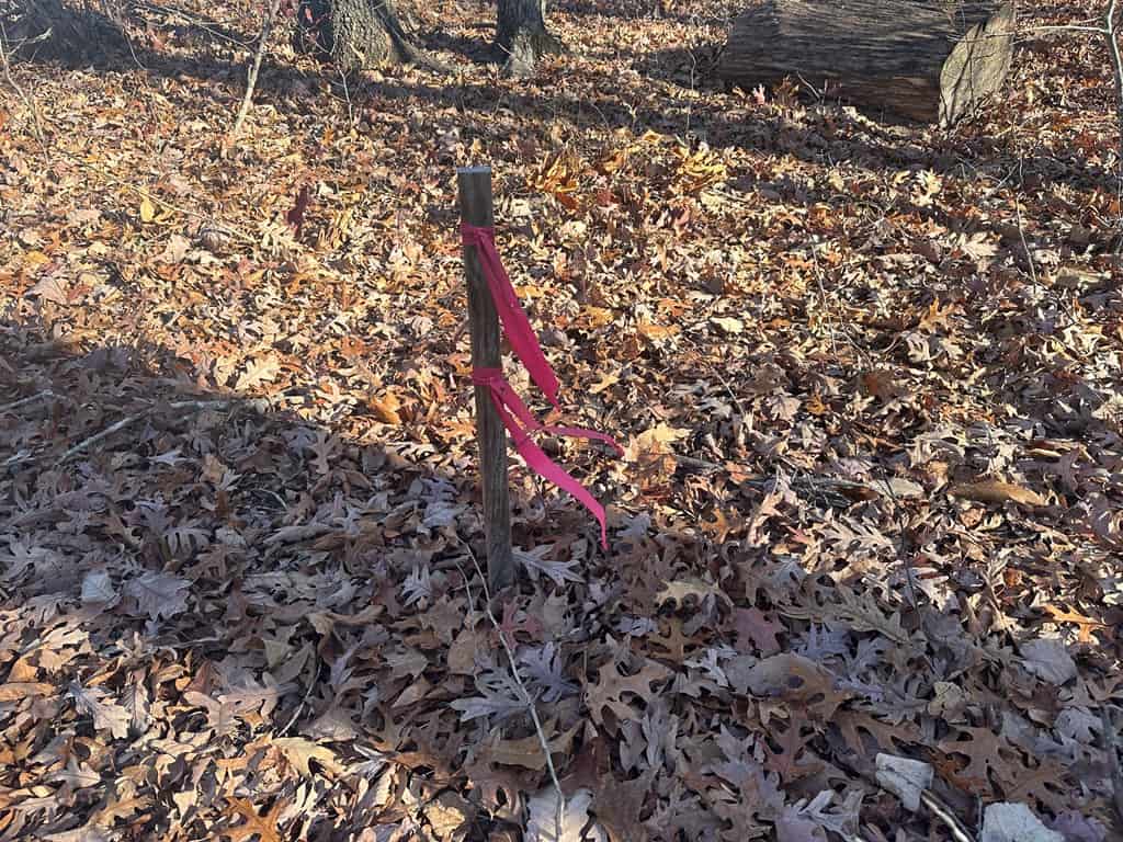 Hunting and Recreational Paradise: Dillwyn Land Opportunity, VA