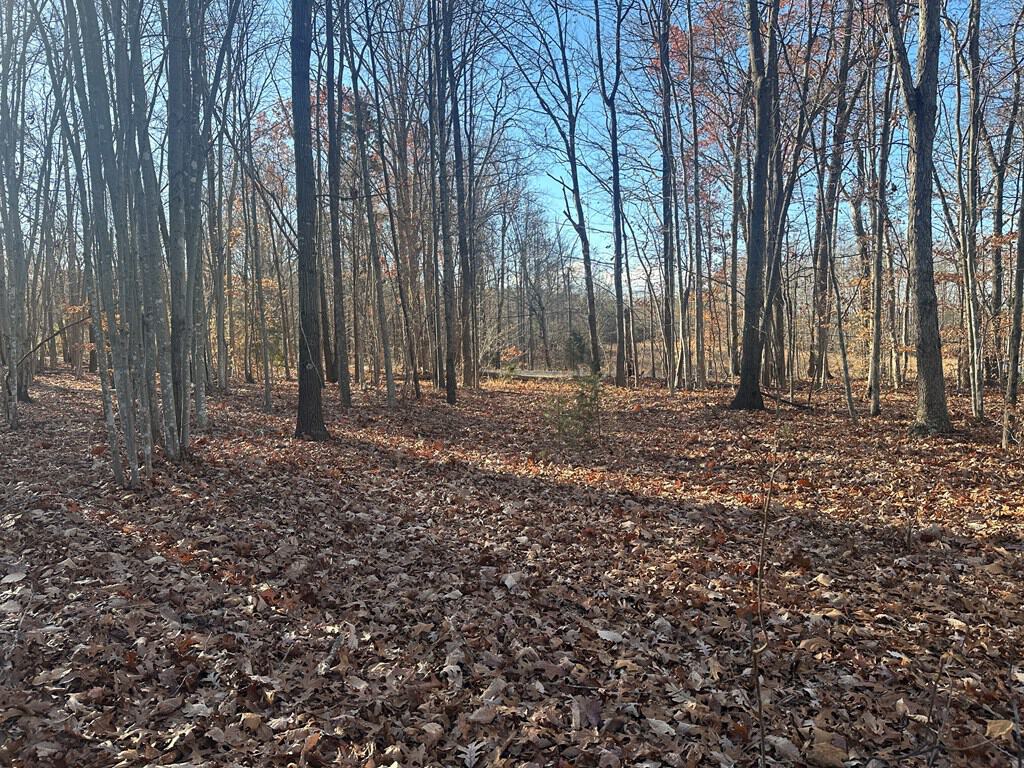 Hunting and Recreational Paradise: Dillwyn Land Opportunity, VA