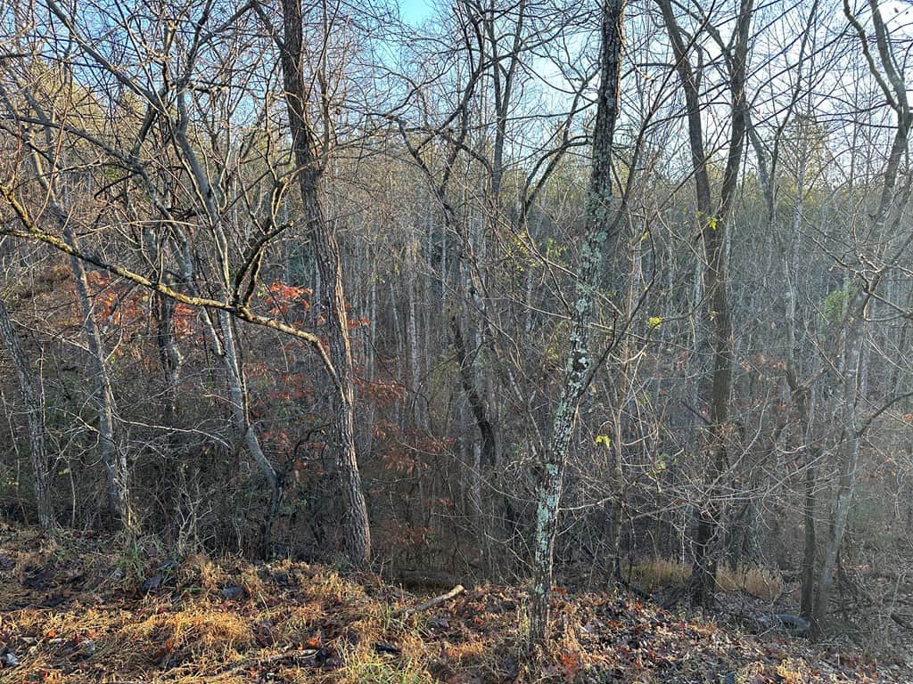 Welcome to Pittsville Perch: Your Private Mountain Retreat