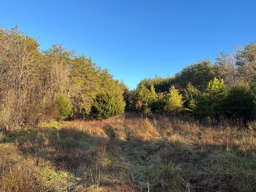 Welcome to Pittsville Perch: Your Private Mountain Retreat
