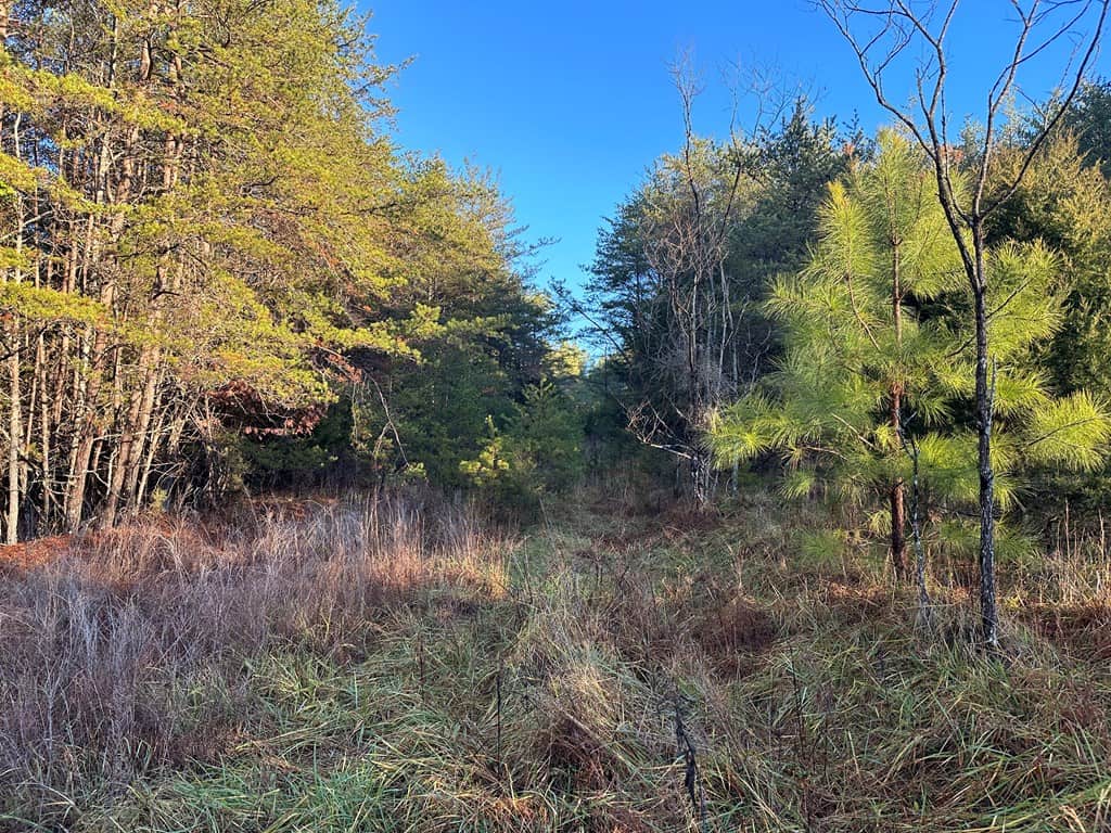 Welcome to Pittsville Perch: Your Private Mountain Retreat