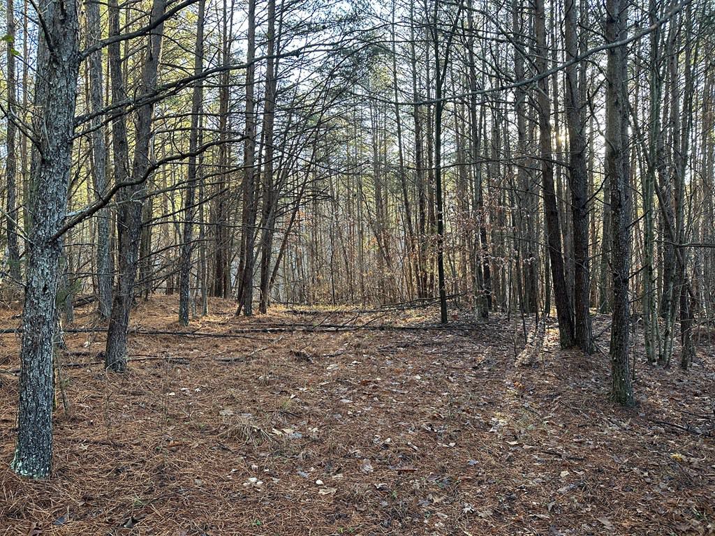Welcome to Pittsville Perch: Your Private Mountain Retreat