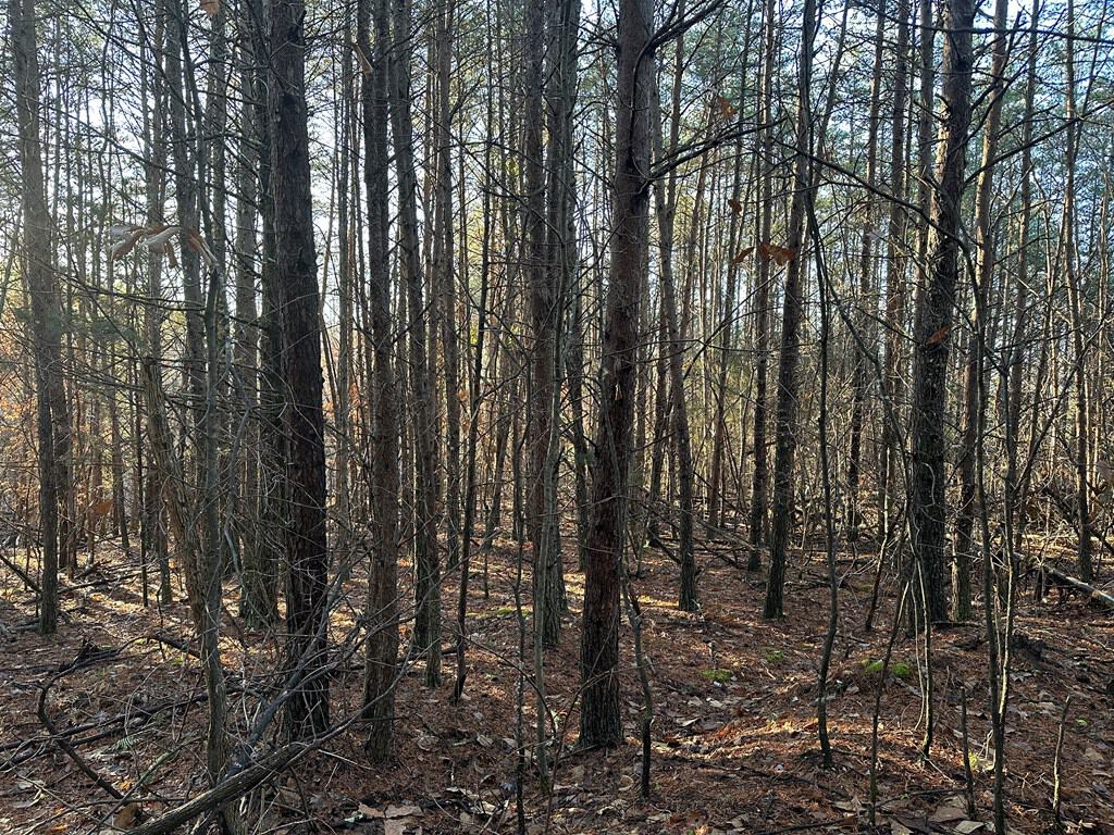 Welcome to Pittsville Perch: Your Private Mountain Retreat