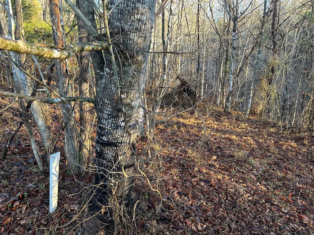 Welcome to Pittsville Perch: Your Private Mountain Retreat
