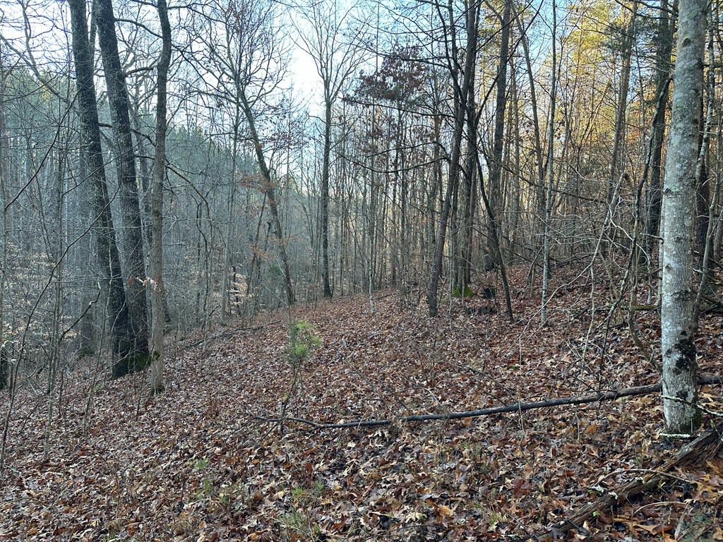 Welcome to Pittsville Perch: Your Private Mountain Retreat
