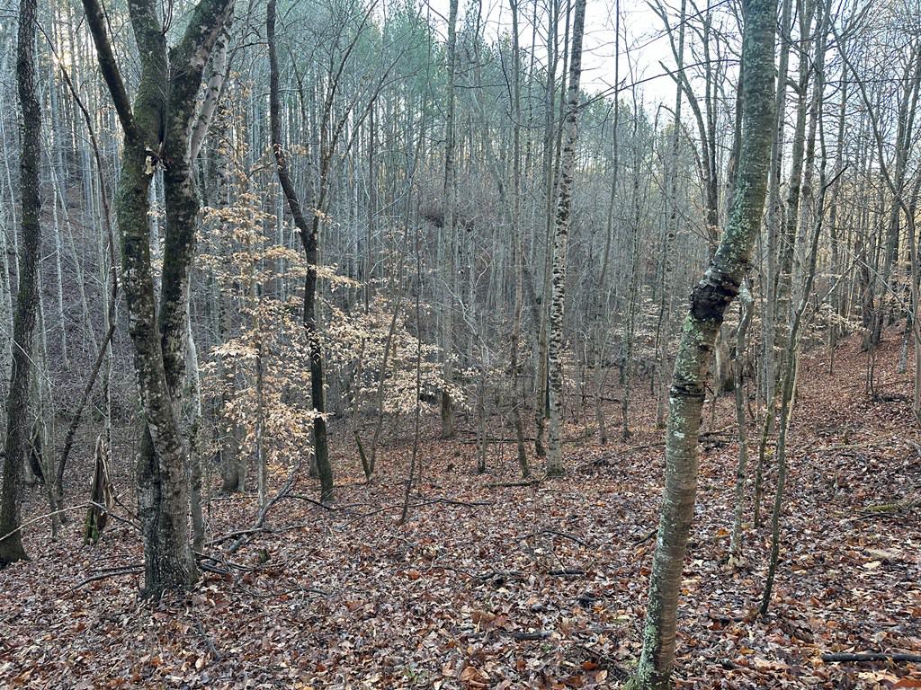 Welcome to Pittsville Perch: Your Private Mountain Retreat